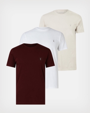 Allsaints Brace Brushed Cotton 3 Pack T-Shirts Maroon/Winter/Opt | U.K.MD158X-8067